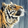Индийский тигр размер 30х40 Ag 250