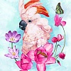 Розовый попугай размер 40х50 Ag 2688
