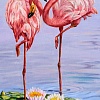 Свидание фламинго размер 40х70 Ag 2721