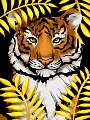 Золотой тигр размер 30х40 Ag 2703