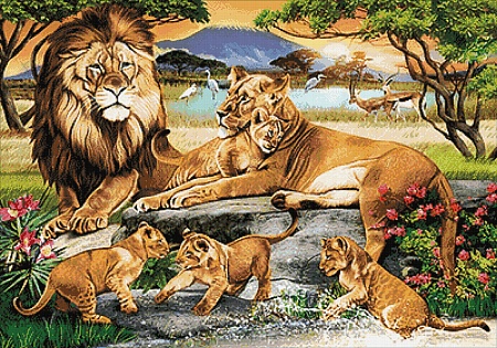 Львиное семейство 100х70 Ag 2494
