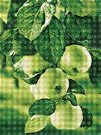 Зеленые яблоки размер 30х40 Ag 208