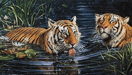 Тигры в воде размер 70х40 Ag 2569